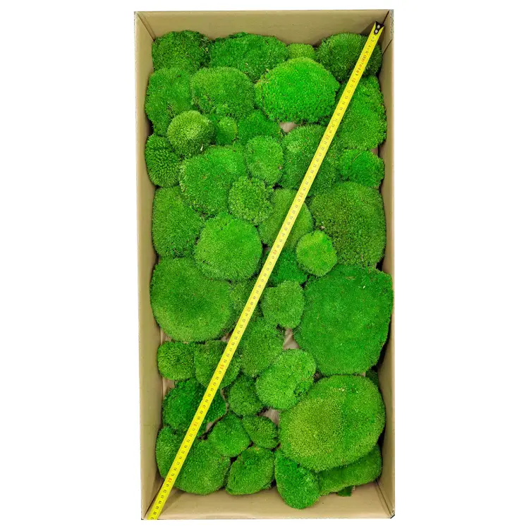 Poduszka Szwedzka Premium Średnia Zieleń Pudełko.png