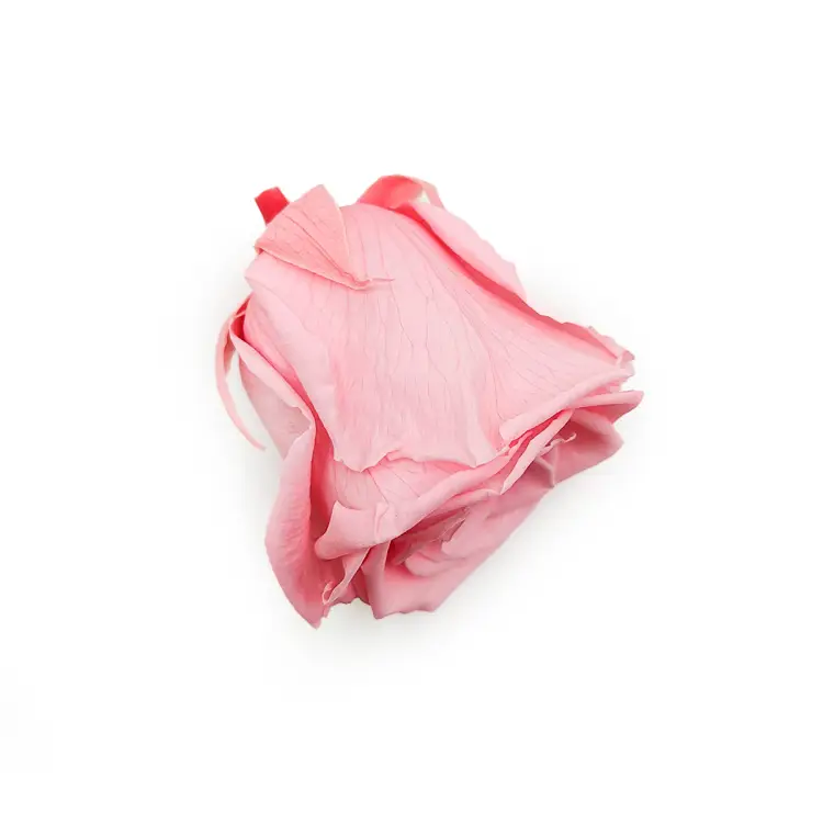 Róża Stabilizowana Baby Pink gora.png