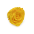 Róża Stabilizowana Canary Yellow skos.png