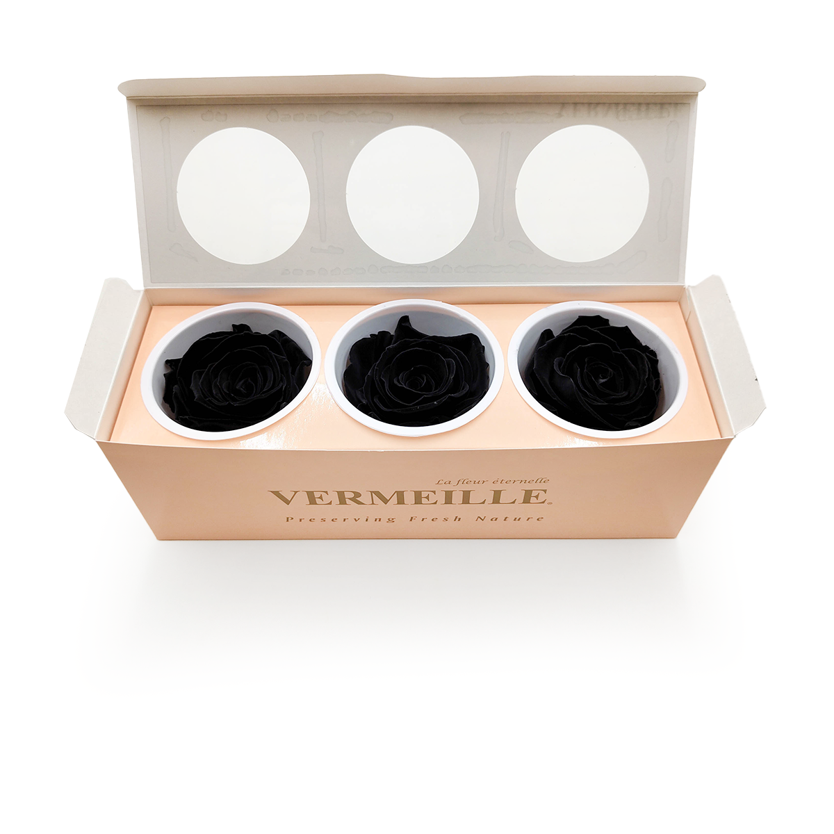 Róża Stabilizowana - Czarna - Carbon Black - XL - 3szt