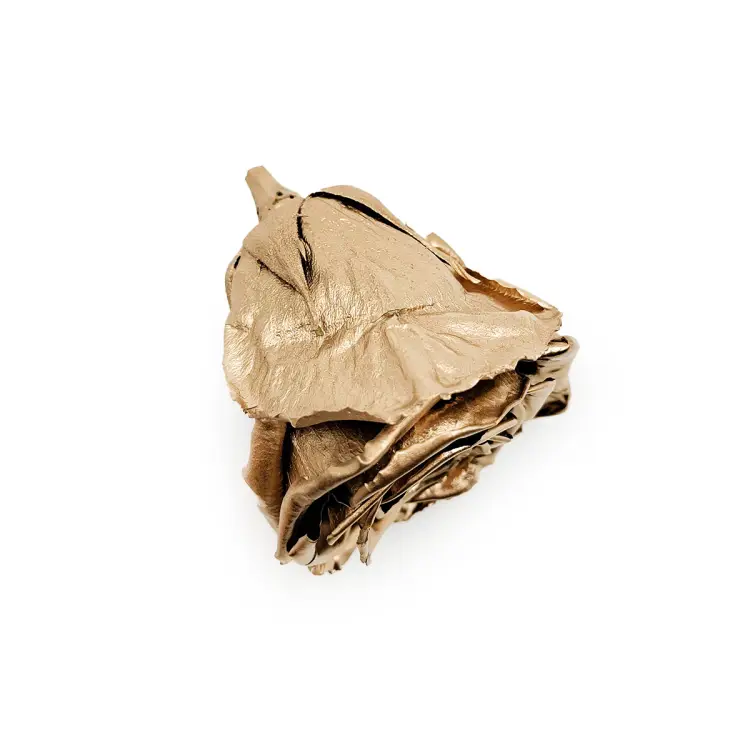 Róża Stabilizowana Gold gora.png