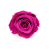 Róża Stabilizowana Hot Pink okladka.png