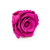 Róża Stabilizowana Hot Pink skos.png