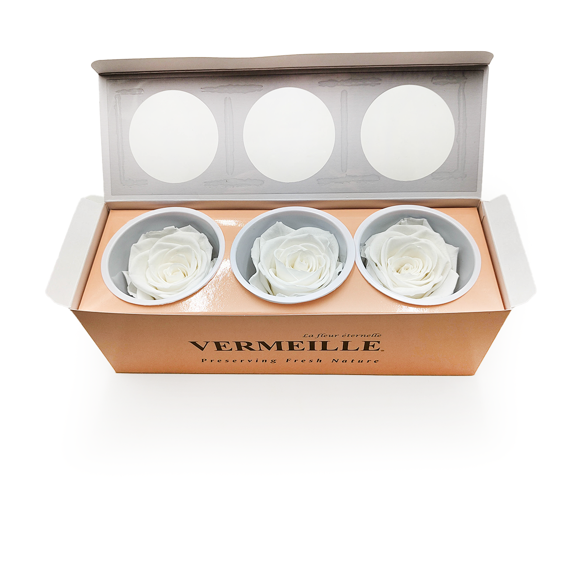 Róża Stabilizowana - Kość słoniowa - Ivory - XL - 3szt