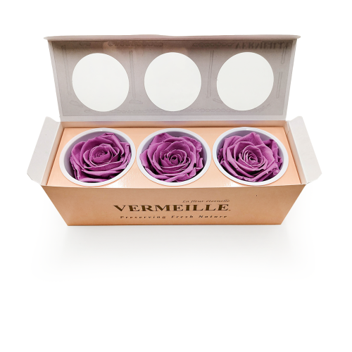 Róża Stabilizowana Lilac pud otw.png