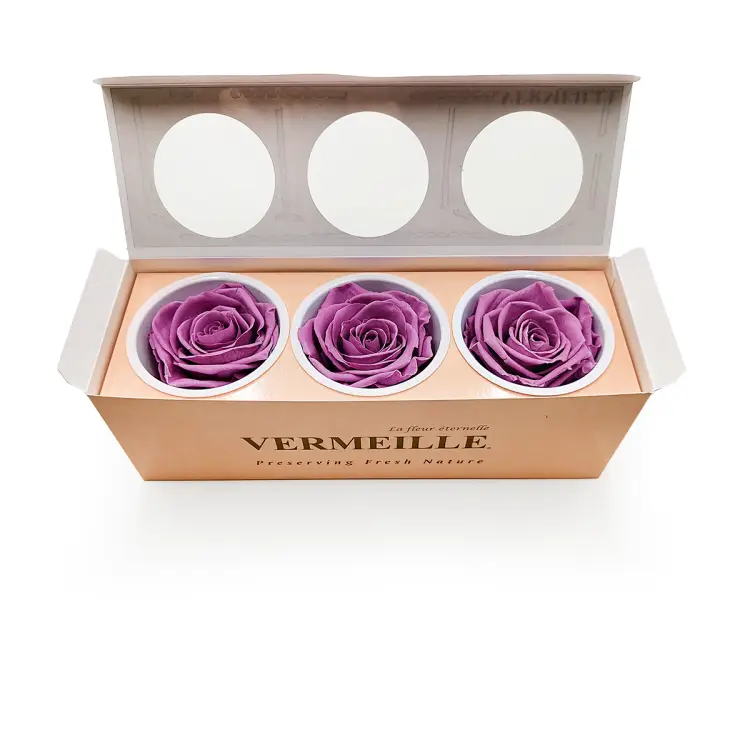 Róża Stabilizowana Lilac pud otw.png