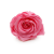 Róża Stabilizowana Madeleine Pink okladka.png