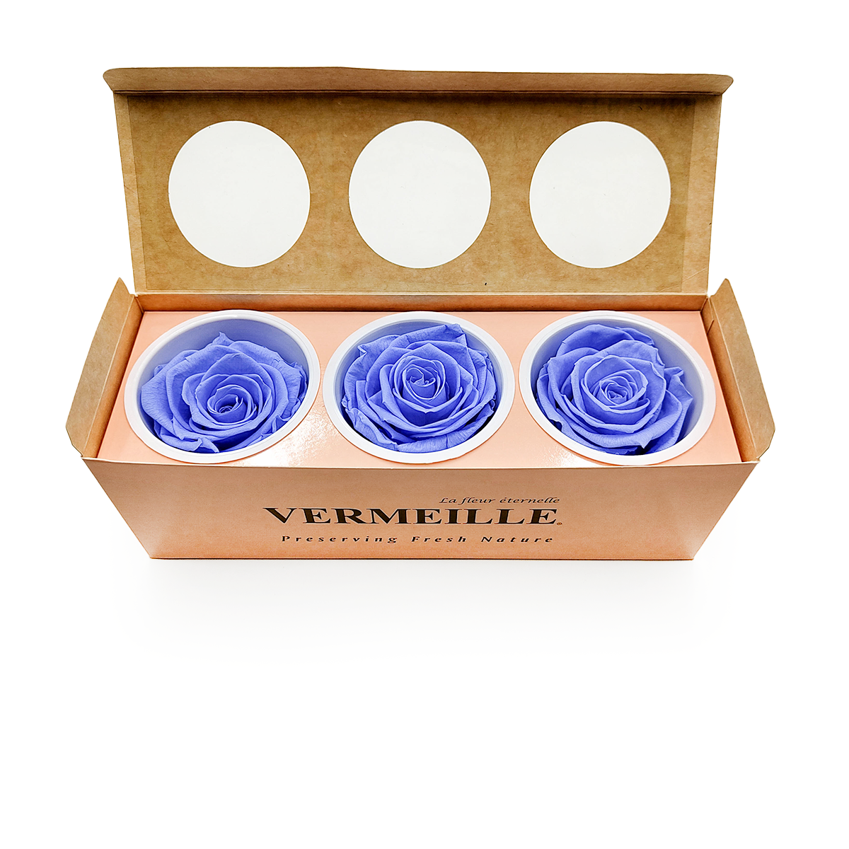 Róża Stabilizowana - Morski Niebieski -  Marine Blue - XL - 3szt