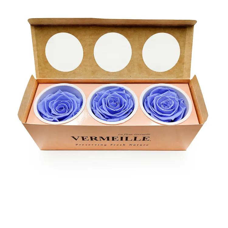 Róża Stabilizowana Marine Blue pud otw.png