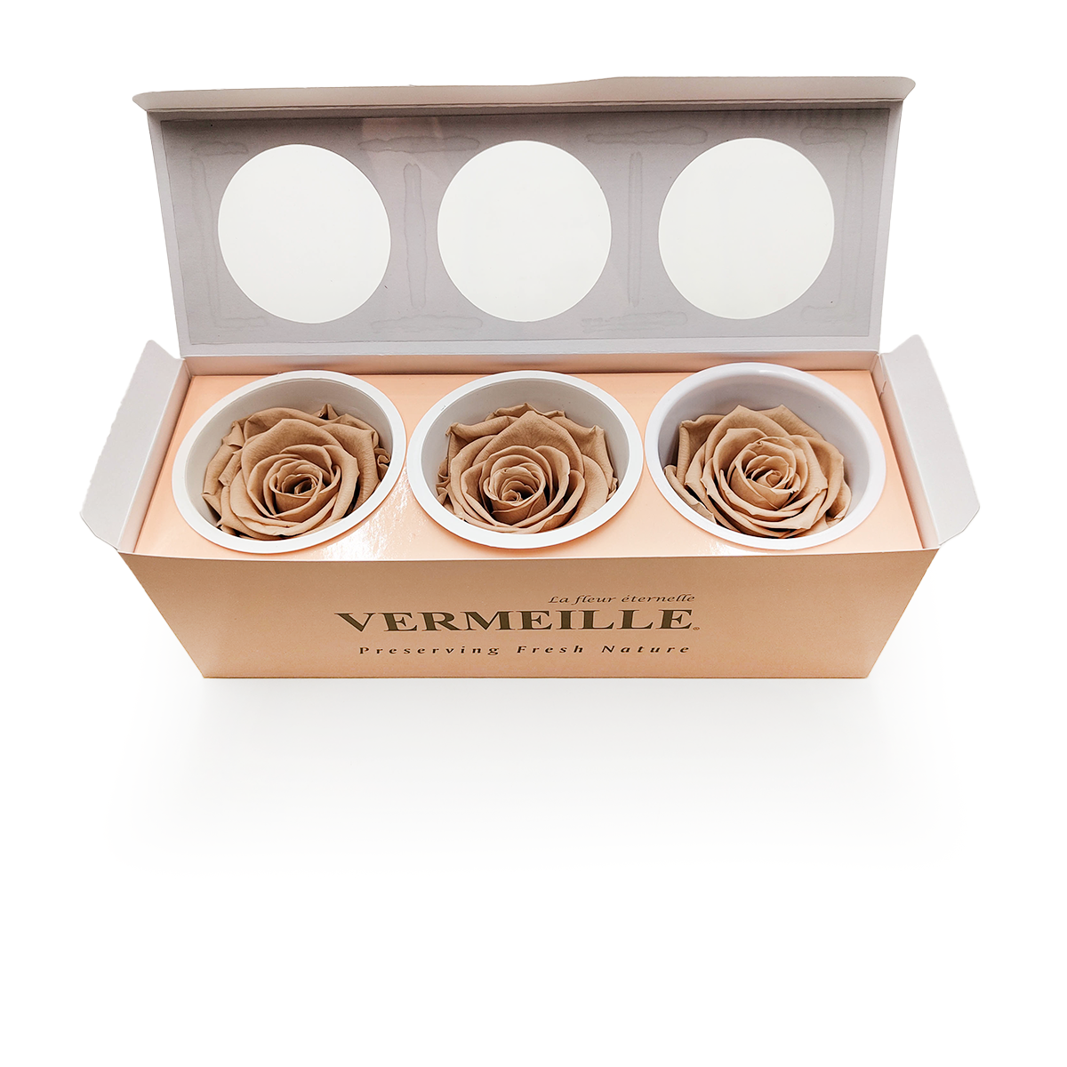 Róża Stabilizowana - Cielisty -  Nude - XL - 3szt