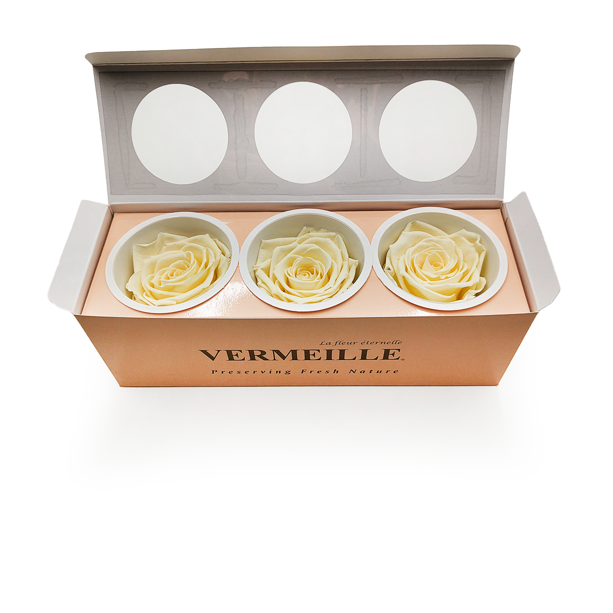 Róża Stabilizowana - Pastelowy Żółty - Pastel Yellow - XL - 3szt