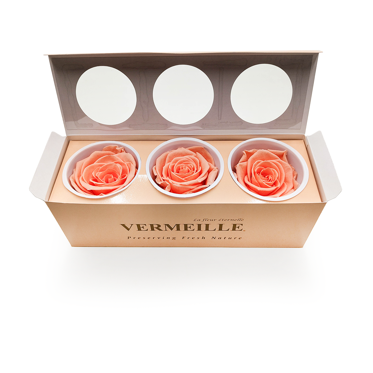 Róża Stabilizowana - Brzoskwiniowa - Peach - XL - 3szt