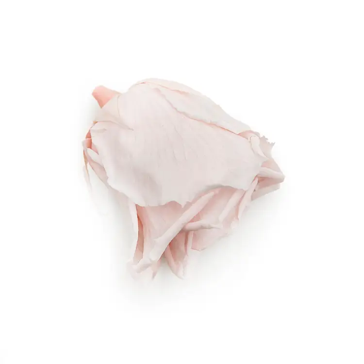 Róża Stabilizowana Pink Champagne gora.png