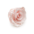 Róża Stabilizowana Pink Champagne skos.png