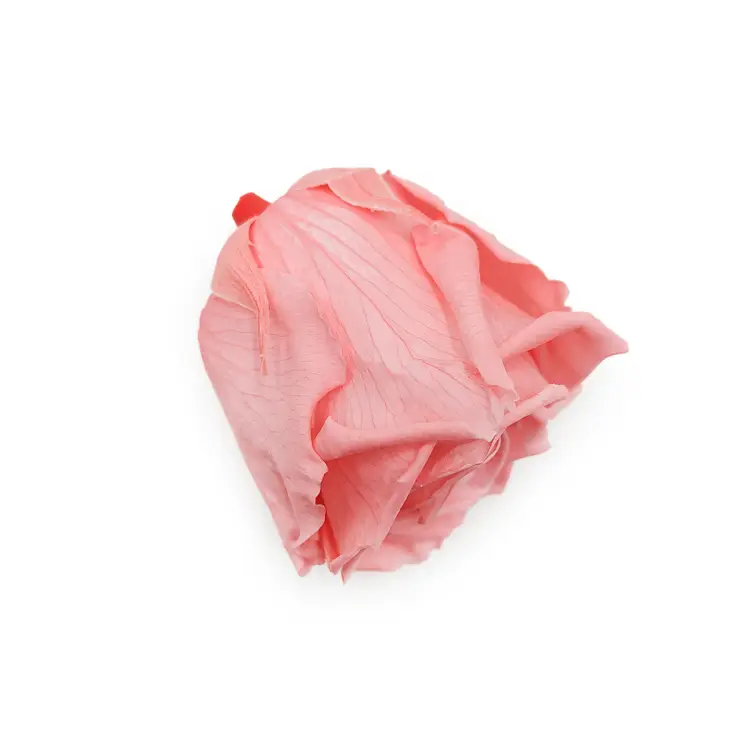 Róża Stabilizowana Pink Nectar gora.png