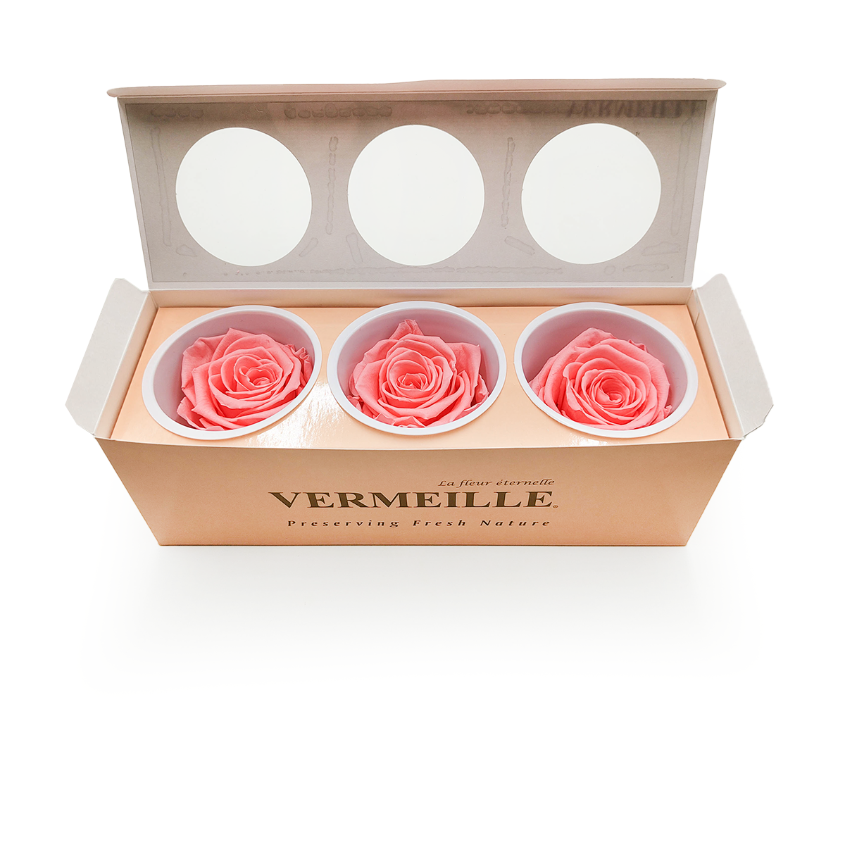 Róża Stabilizowana - Różowy Nektar - Pink Nectar - XL - 3szt