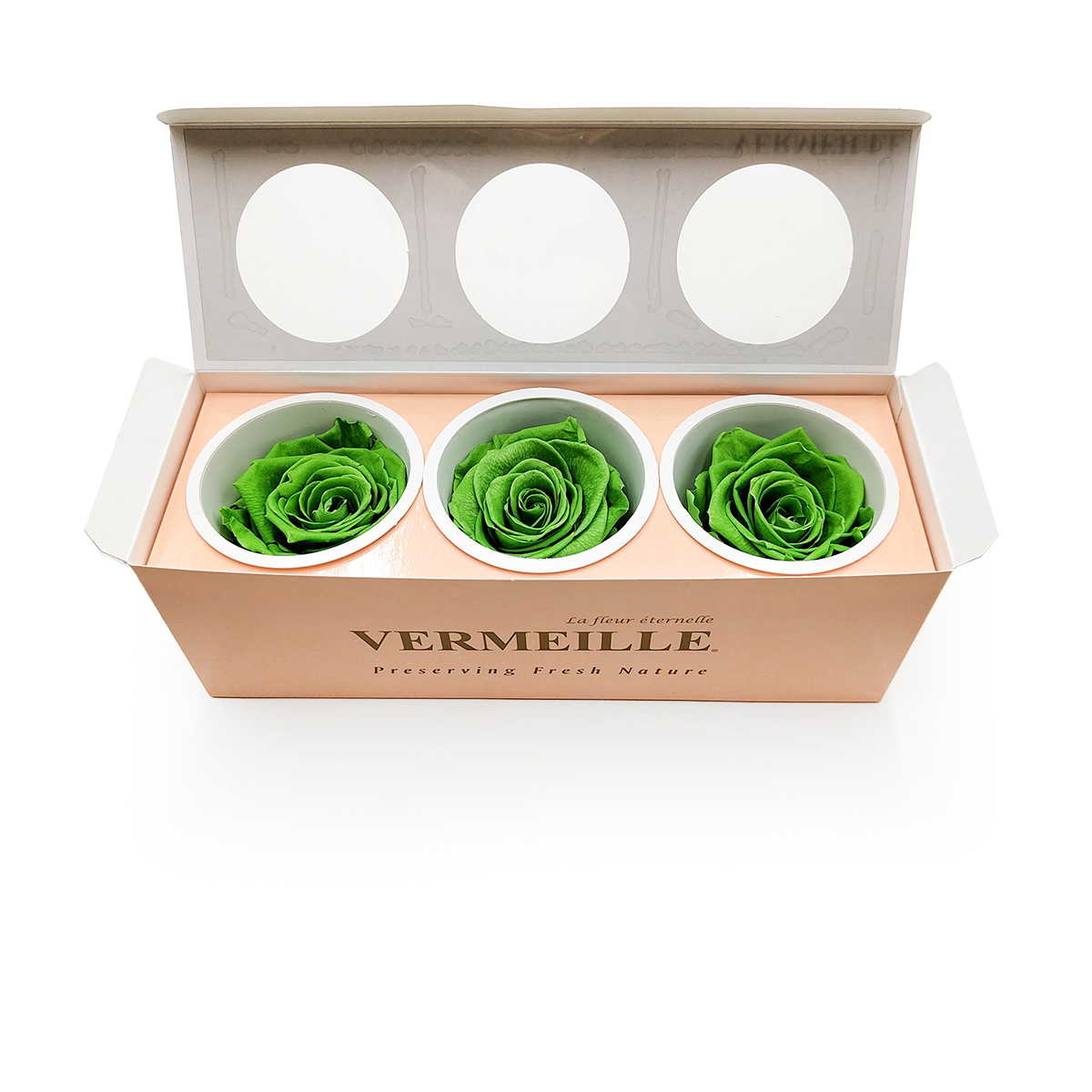 Róża Stabilizowana - Zieleń Prerii - Prairie Green - XL - 3szt