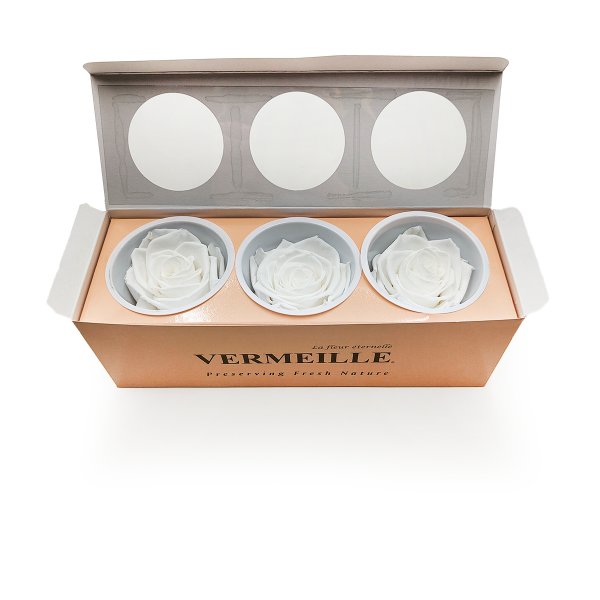 Róża Stabilizowana - Królewska biel - Princess White - XL - 3szt