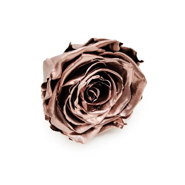 Róża Stabilizowana Rose Gold skos.png