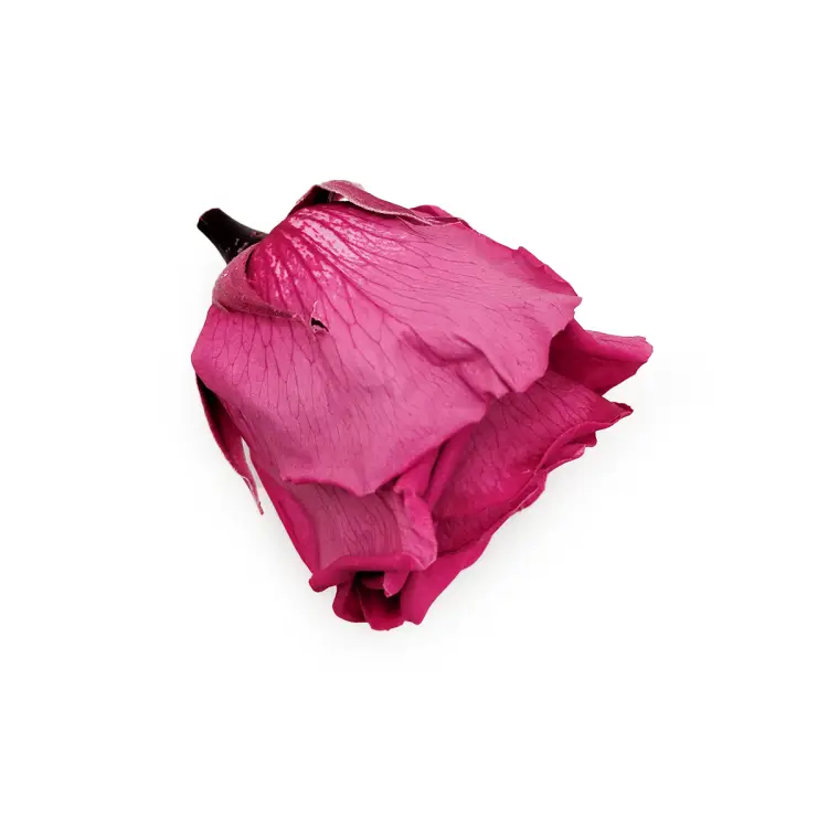 Róża Stabilizowana Rose Wine gora.png