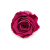 Róża Stabilizowana Rose Wine okladka.png