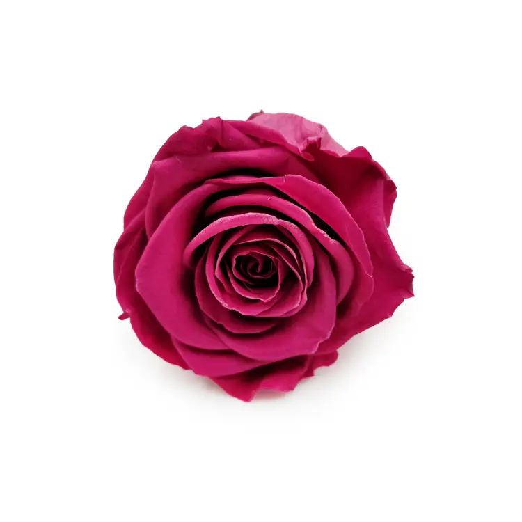 Róża Stabilizowana Rose Wine okladka.png