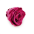 Róża Stabilizowana Rose Wine skos.png