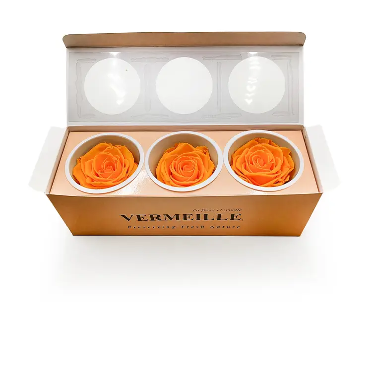 Róża Stabilizowana Saffron Yellow pud otw.png