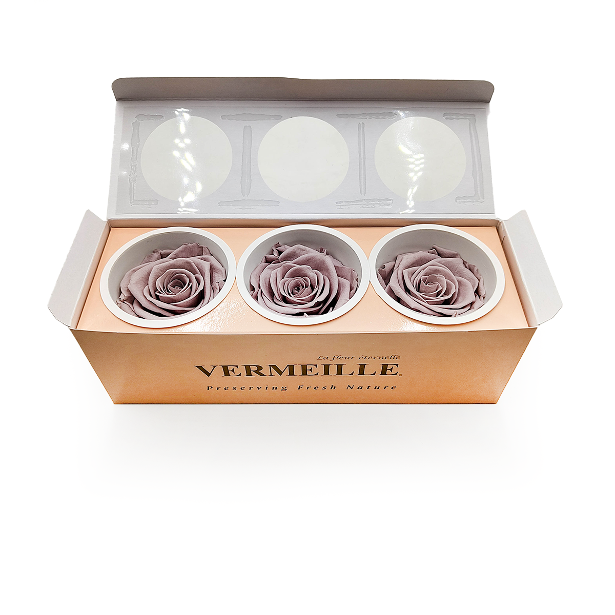 Róża Stabilizowana - Piaskowy Beż - Sand Beige - XL - 3szt