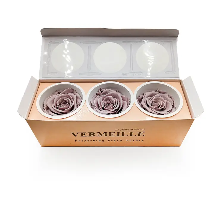 Róża Stabilizowana Sand Beige pud otw.png