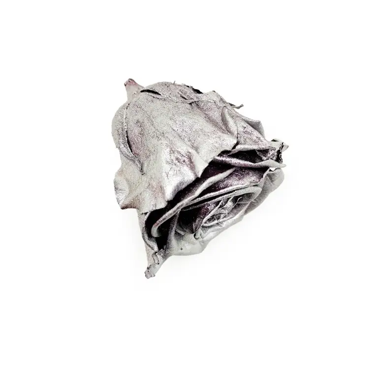 Róża Stabilizowana Silver gora.png