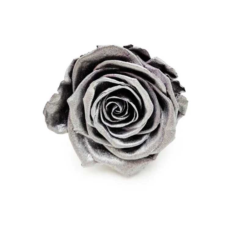 Róża Stabilizowana Silver okladka.png