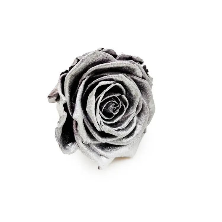 Róża Stabilizowana Silver skos.png