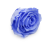 Róża Stabilizowana Sky Blue skos.png