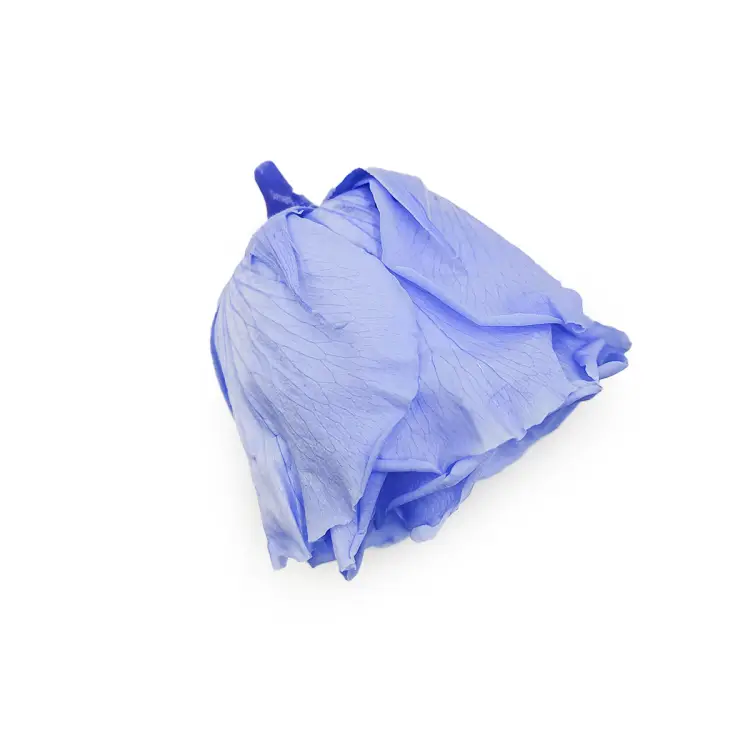 Róża Stabilizowana Sky Blue gora.png