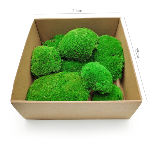 Poduszka Premium 100g SWE.png