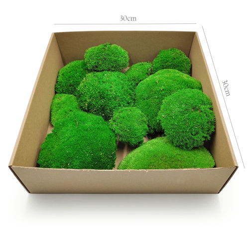 Poduszka Premium 200g SWE.png