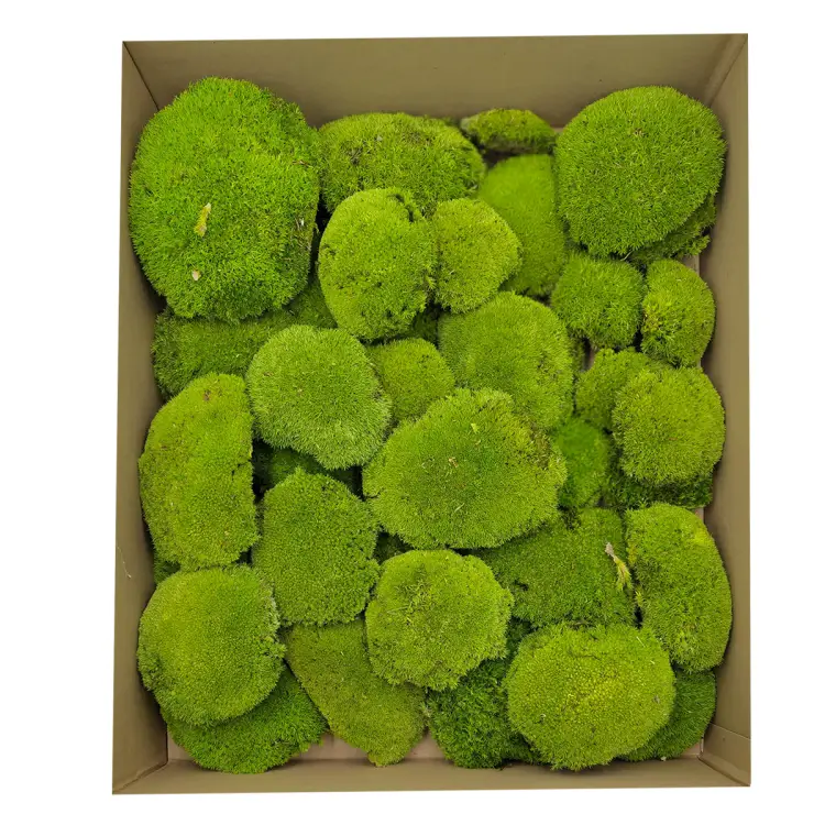 Poduszka Szwedzka Premium Jasna Zieleń Duże Opakowanie.png