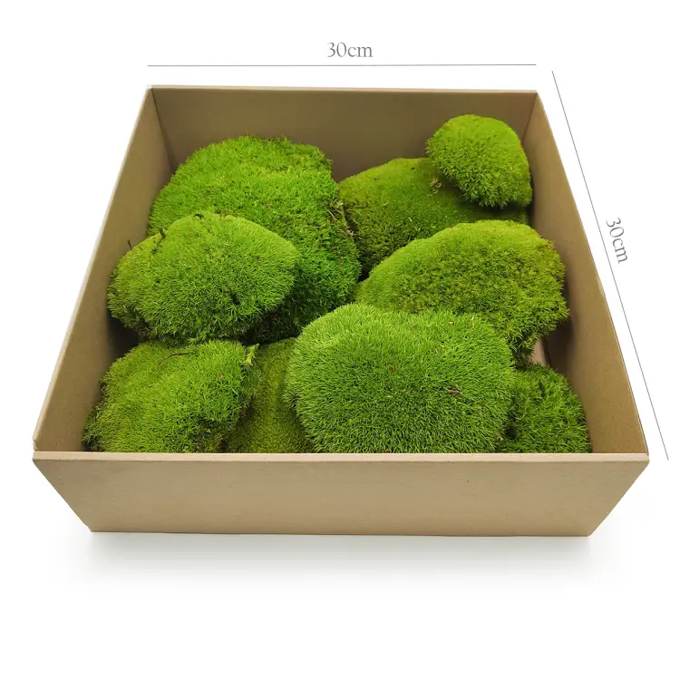 Poduszka Szwedzka Premium Jasna Zieleń 200.png