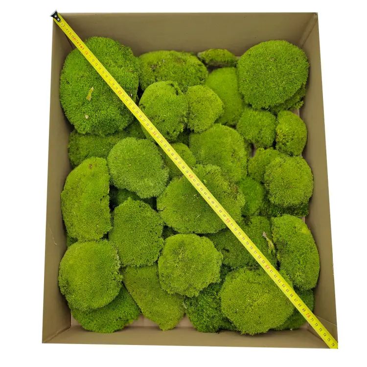 Poduszka Szwedzka Premium Jasna Zieleń Duże Opakoanie metr.png