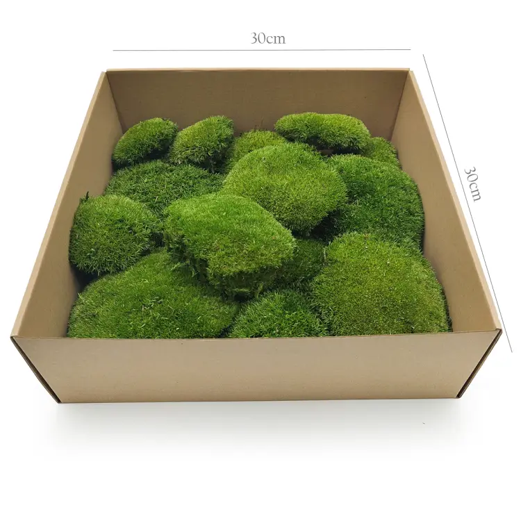 Poduszka Szwedzka Premium Ciemna Zieleń 200.png