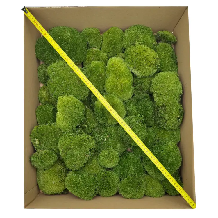 Poduszka Szwedzka Premium Ciemna Zieleń Duże Opakoanie metr.png