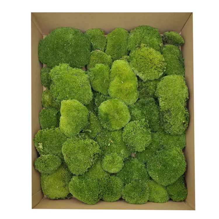 Poduszka Szwedzka Premium Ciemna Zieleń Duże Opakoanie.png