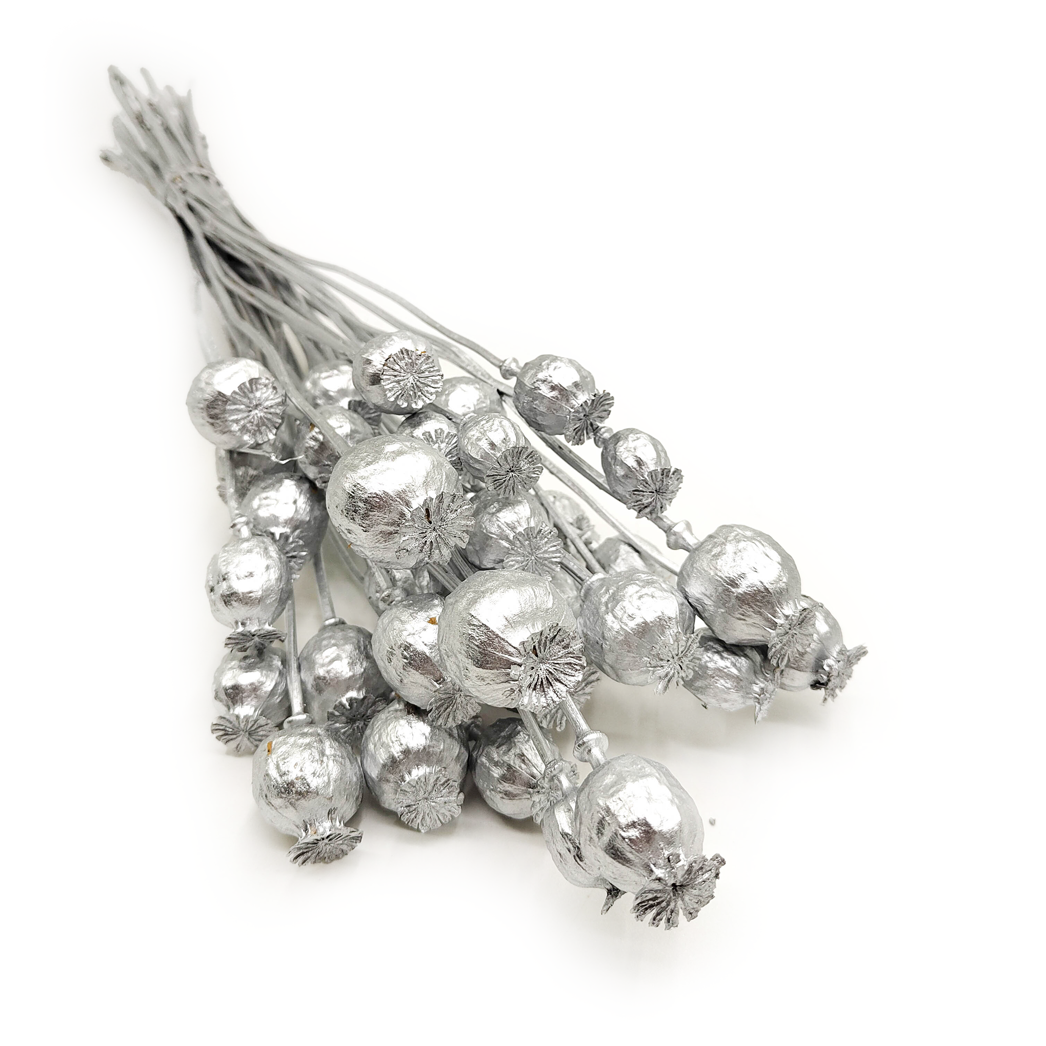 Makówka Suszona (Papaver) - Srebrna