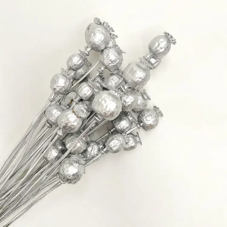 makówka srebrna Papaver srebrny suszony zbl.png