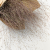 Suszone Proso Rózgowate Naturalne zbl1.png