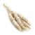 Cane Cone Suszone Paczka okl.png