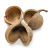 Budda Nut Natural okl.png