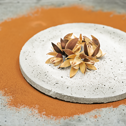 Lilly WIld 10szt paczka1.png