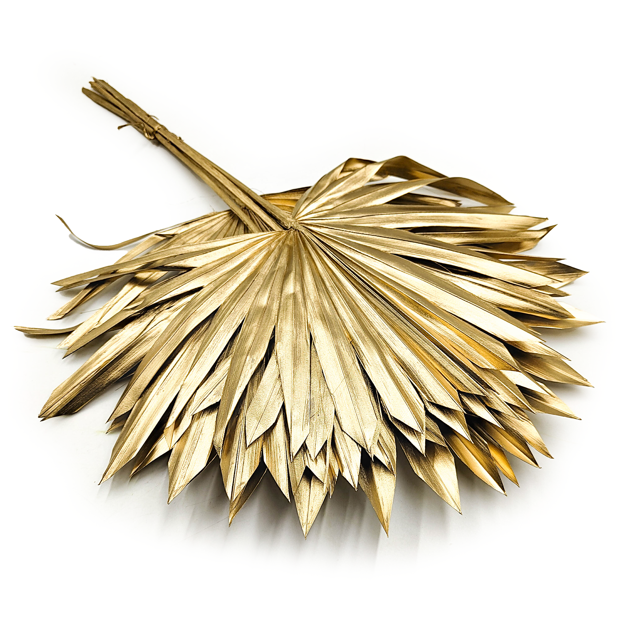 Palma, wachlarz (Palm Sun) - Złoty